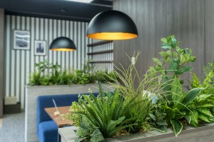 株式会社KIZUNAの写真3