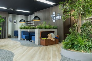 株式会社ＫＩＺＵＮＡの写真2