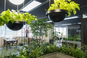 株式会社KIZUNAの写真3